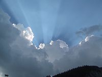 800x600  29.5Kb