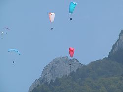 800x600  65.2Kb