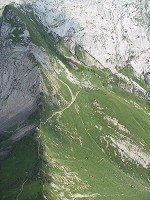 600x800  180.8Kb