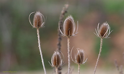 1400x841  453.2Kb