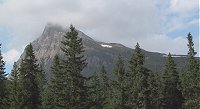 1014x552  115.4Kb
