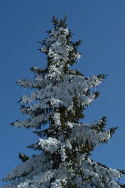 900x1355  153.6Kb