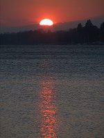 600x800  77.7Kb