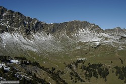 850x565  183.1Kb