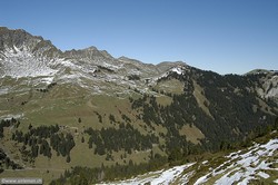 850x565  161.6Kb