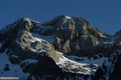850x565  135.0Kb