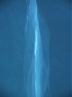 600x800  35.2Kb