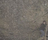 700x587  135.8Kb