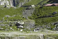 800x532  192.2Kb