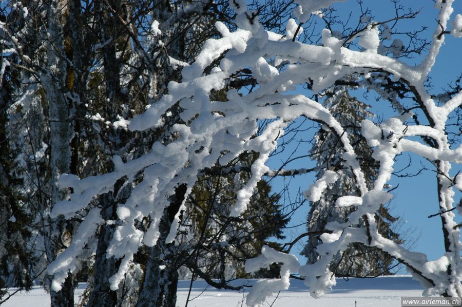 Suisse/Jura/20030215/DSC_4161.jpg