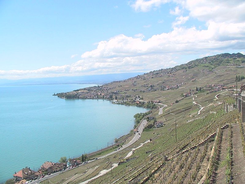 Suisse/Leman/Lavaux/Img_0546.jpg