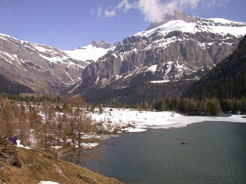 Suisse/Valais/Derborence/20040406/DSCN9369g.jpg