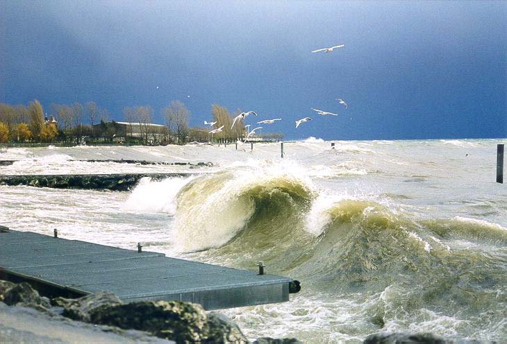 Suisse/Vaud/Preverenges/Storm-Tempete/19991226/temp9916.jpg
