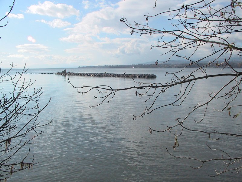 Suisse/Vaud/Preverenges/ile/20011202/imgg_3141.jpg