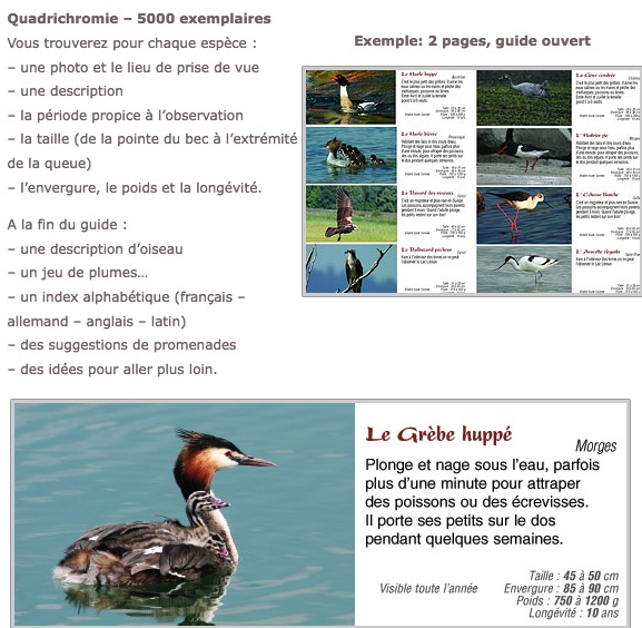 Les oiseaux des lacs