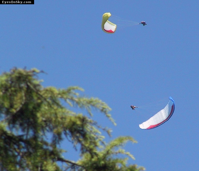 Fly-Parapente/Vertigo/2001/20010826/124-2446_imgg.jpg