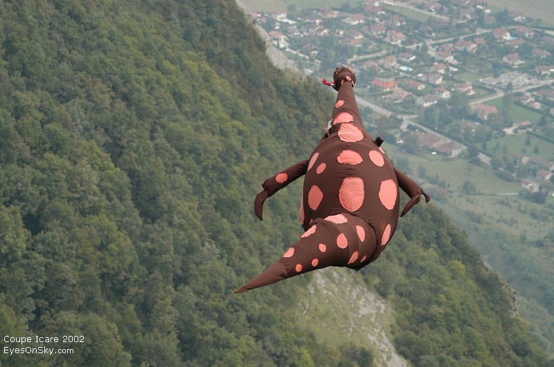 Fly-Parapente/icare/2002/part5/Dsc_0868g.jpg