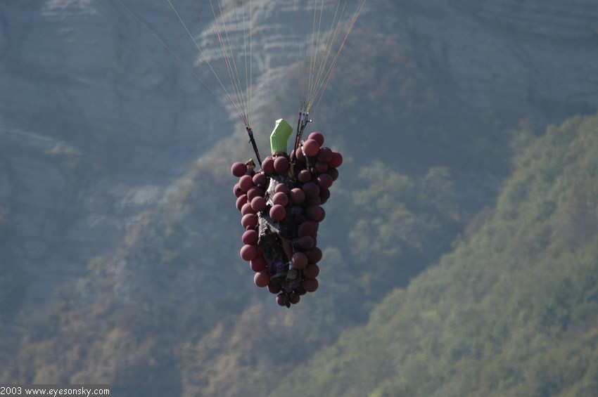 Fly-Parapente/icare/2003/part1/DSC_3380.JPG