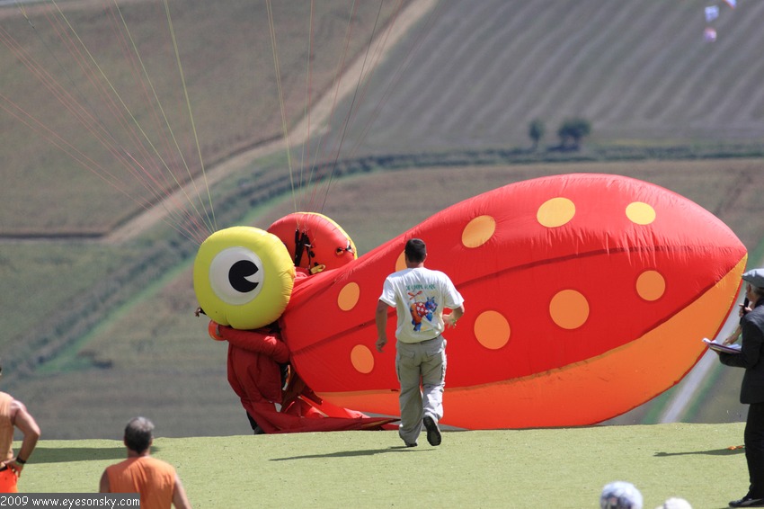 Fly-Parapente/icare/2009/part1/IMG_8467.JPG