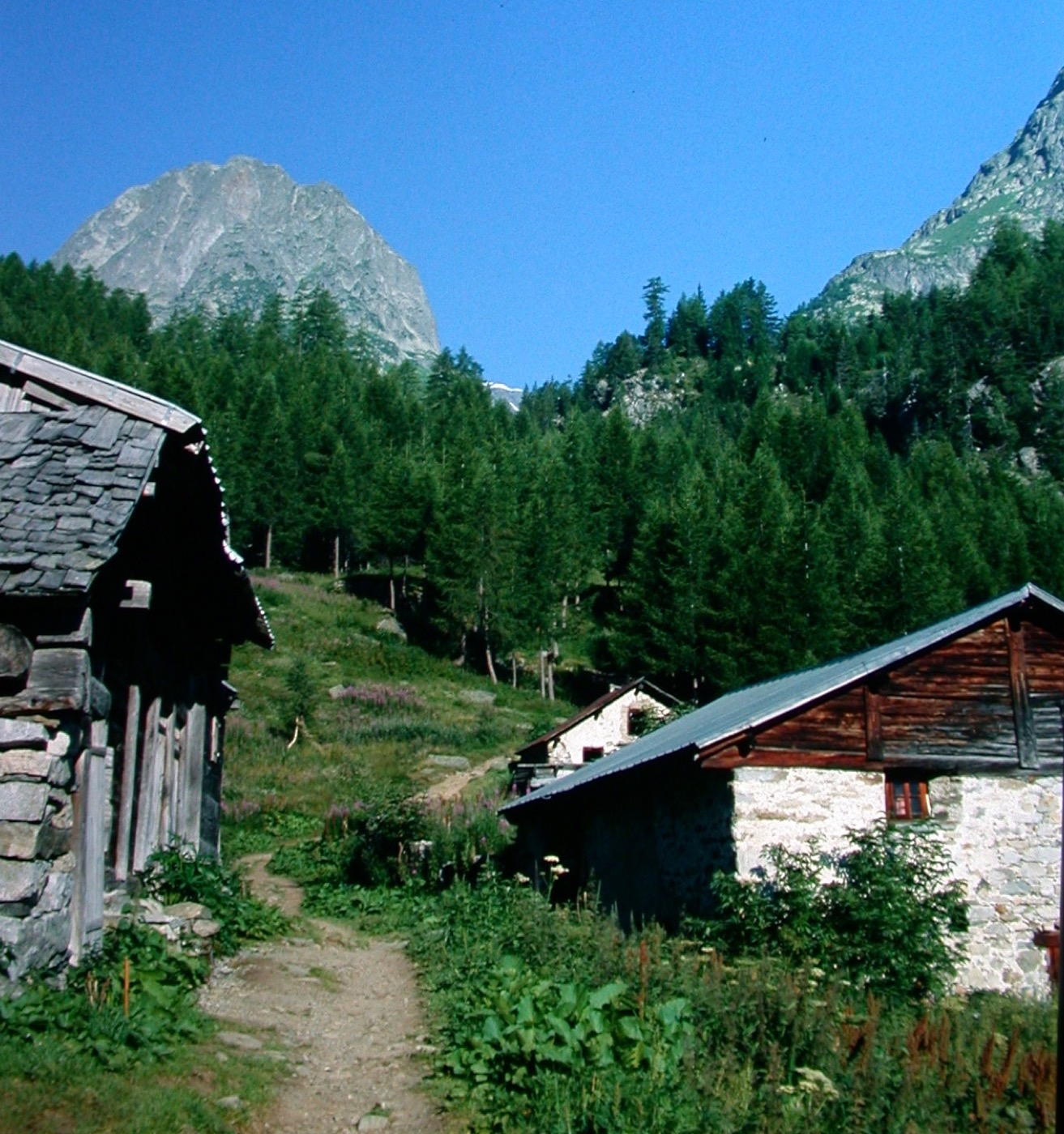 HauteSavoie/Buet/DSCN6027.jpg