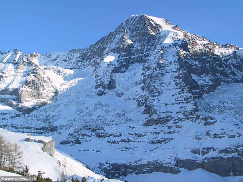 Suisse/Berne/Jungfrau/20020113/IMG_3723.jpg