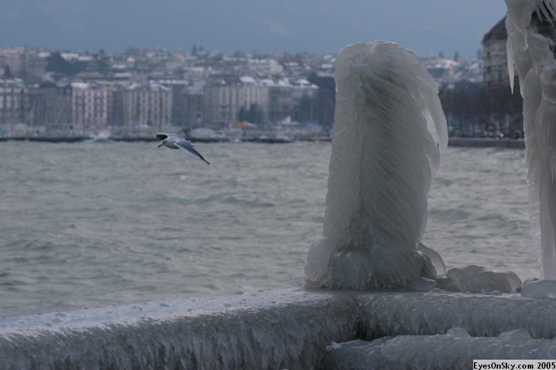 Suisse/Geneve/Leman-Ice/Part1/IMG_1603.JPG