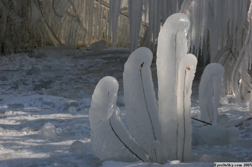 Suisse/Geneve/Leman-Ice/Part4/IMG_1796.JPG