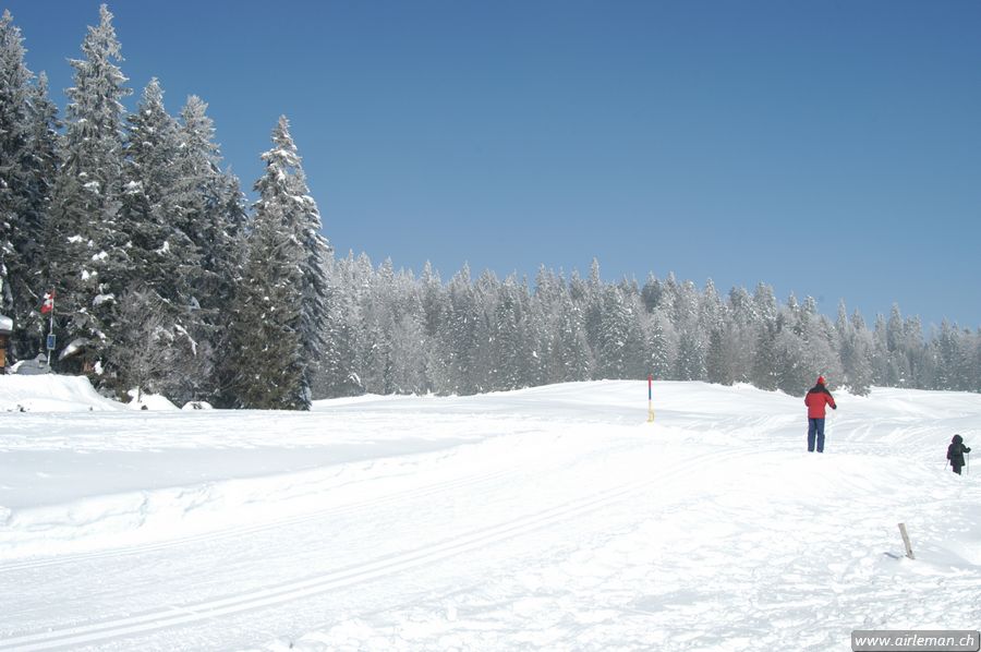 Suisse/Jura/20030215/DSC_4128.jpg