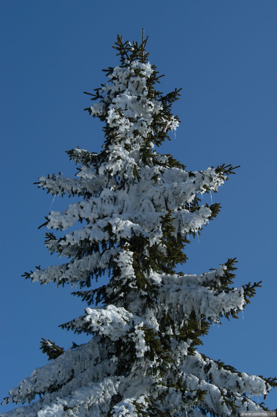 Suisse/Jura/20030215/DSC_4139.jpg