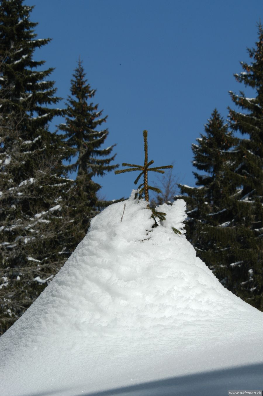 Suisse/Jura/20030215/DSC_4143.jpg