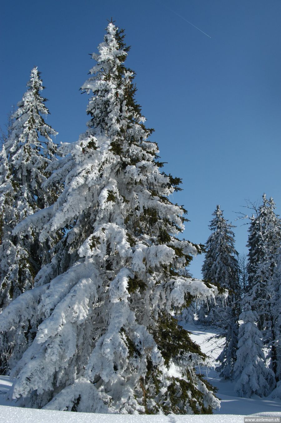 Suisse/Jura/20030215/DSC_4150.jpg