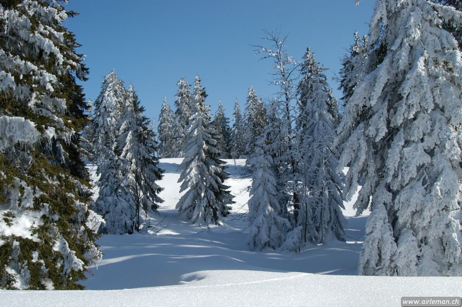 Suisse/Jura/20030215/DSC_4151.jpg