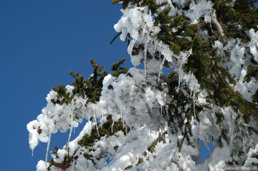 Suisse/Jura/20030215/DSC_4152.jpg