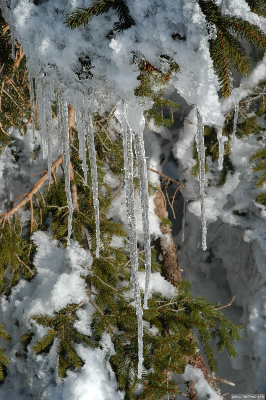Suisse/Jura/20030215/DSC_4153.jpg