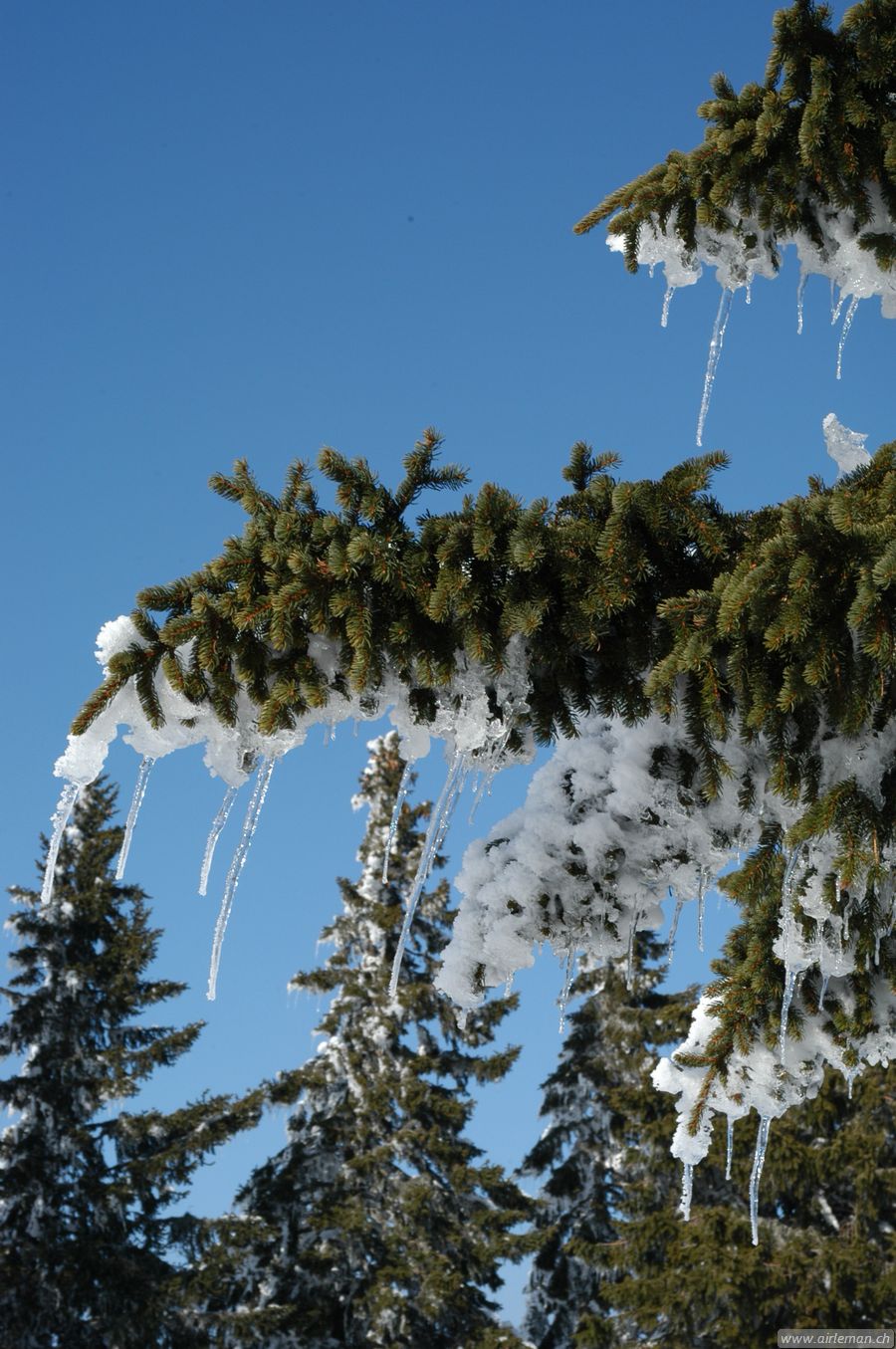 Suisse/Jura/20030215/DSC_4154.jpg