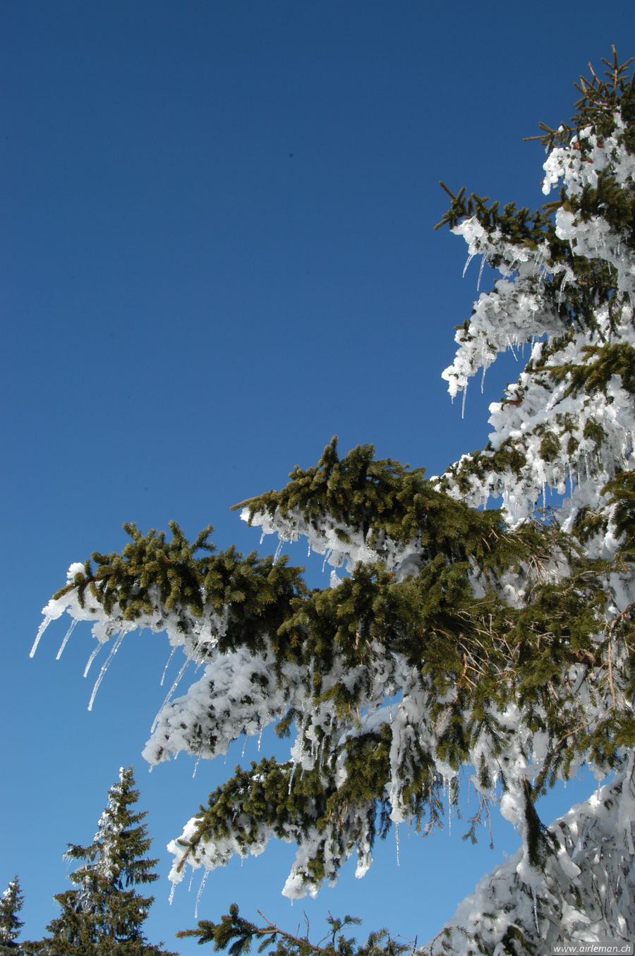 Suisse/Jura/20030215/DSC_4155.jpg