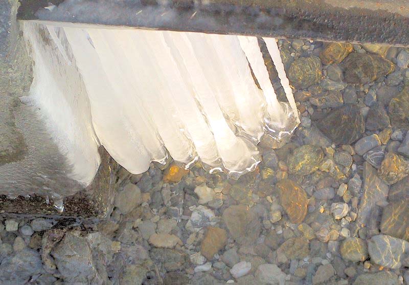 Suisse/Leman/20011216/imgg_3205.jpg