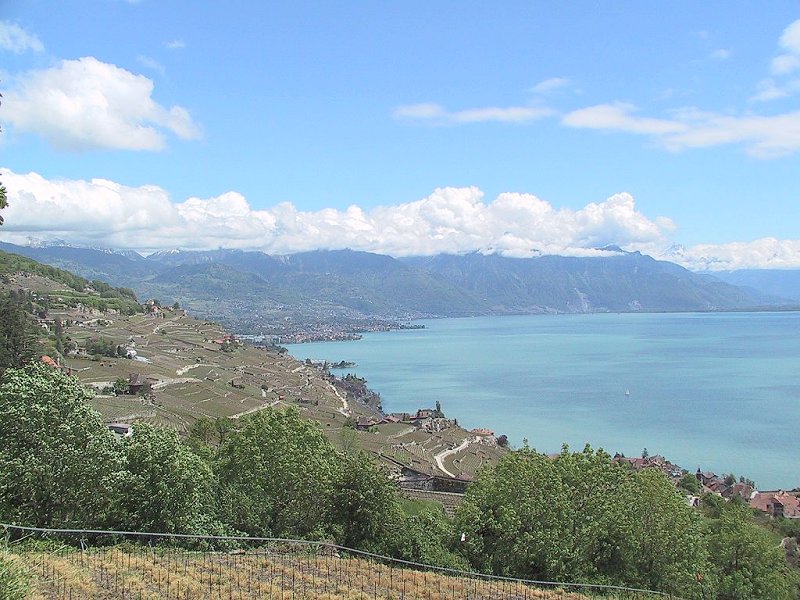 Suisse/Leman/Lavaux/Img_0536.jpg