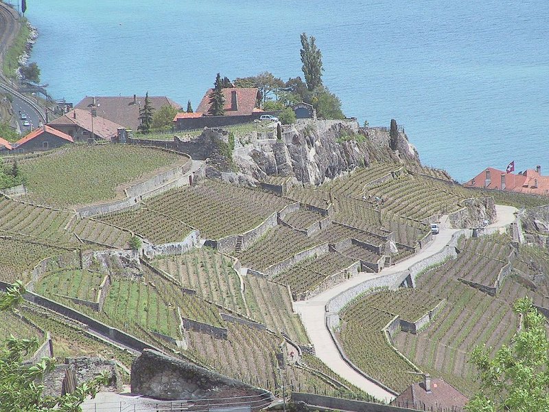 Suisse/Leman/Lavaux/Img_0538.jpg
