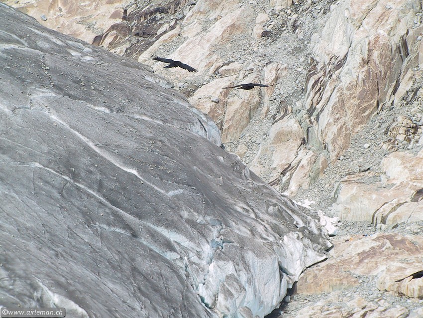 Suisse/Valais/Fiesch/20010705/110-1089_IMG.jpg
