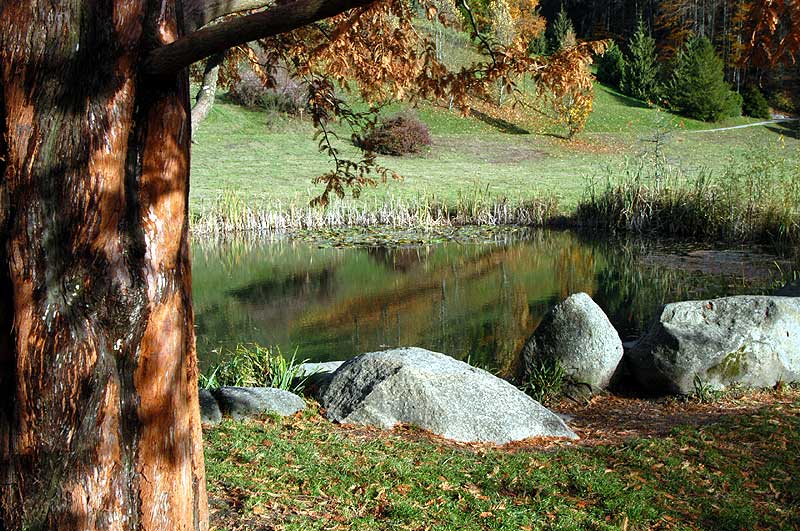 Suisse/Vaud/Aubonne/20021103/DSC_2273g.jpg