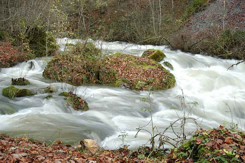 Suisse/Vaud/Aubonne/20021103/DSC_2291g.jpg