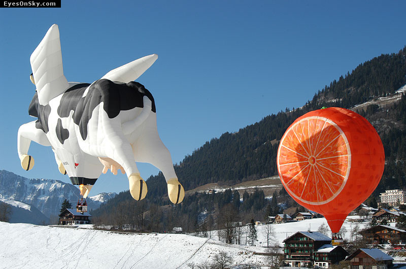 Suisse/Vaud/ChateauDoex/20030118/fun/DSC_3483g.jpg