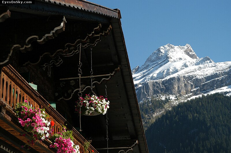 Suisse/Vaud/Diablerets/20020928/DSC_1158g.jpg