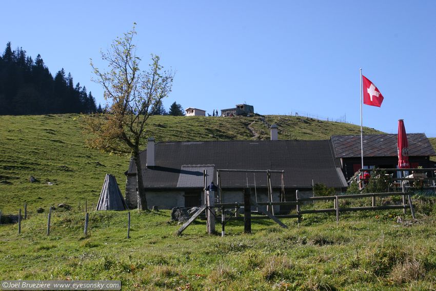 Suisse/Vaud/Jaman/20051011/IMG_2379.jpg