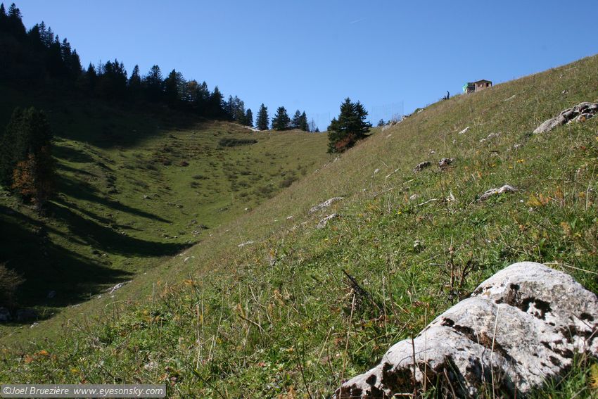 Suisse/Vaud/Jaman/20051011/IMG_2382.jpg