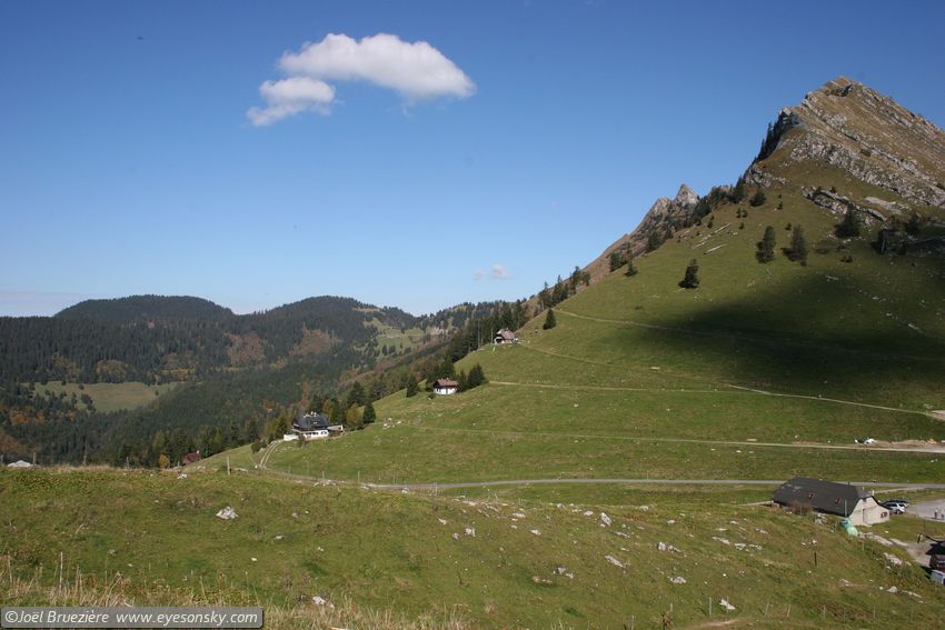 Suisse/Vaud/Jaman/20051011/IMG_2396.jpg