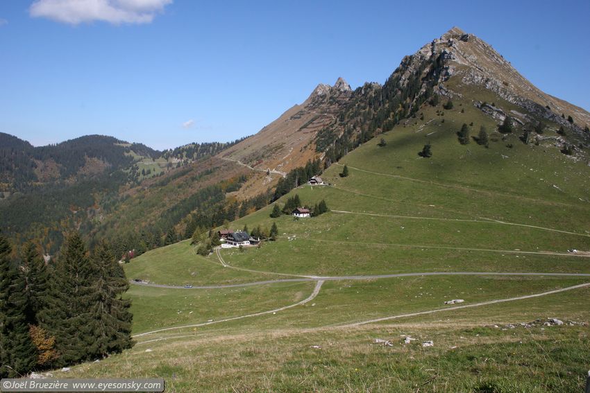 Suisse/Vaud/Jaman/20051011/IMG_2404.jpg