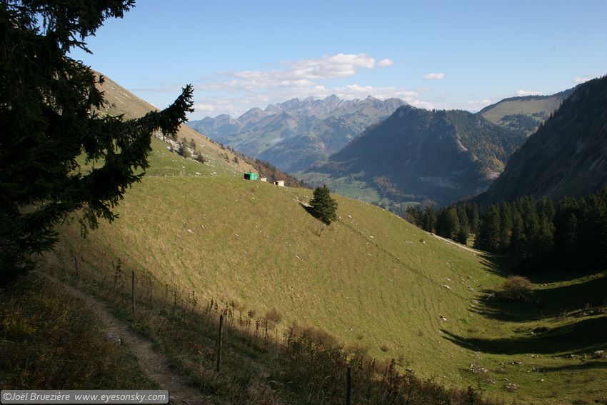 Suisse/Vaud/Jaman/20051011/IMG_2419.jpg