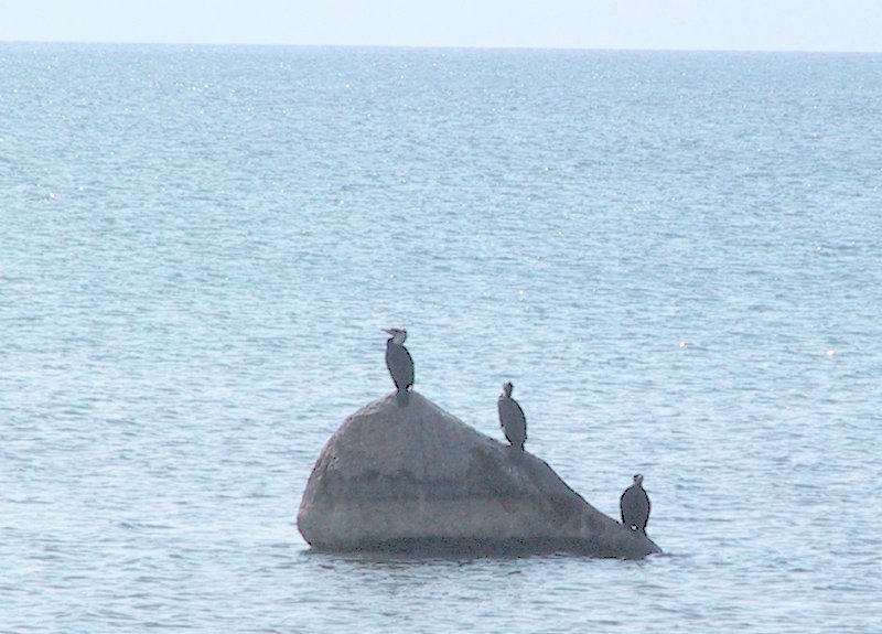Suisse/Vaud/Preverenges/Divers/imgg_3980.jpg